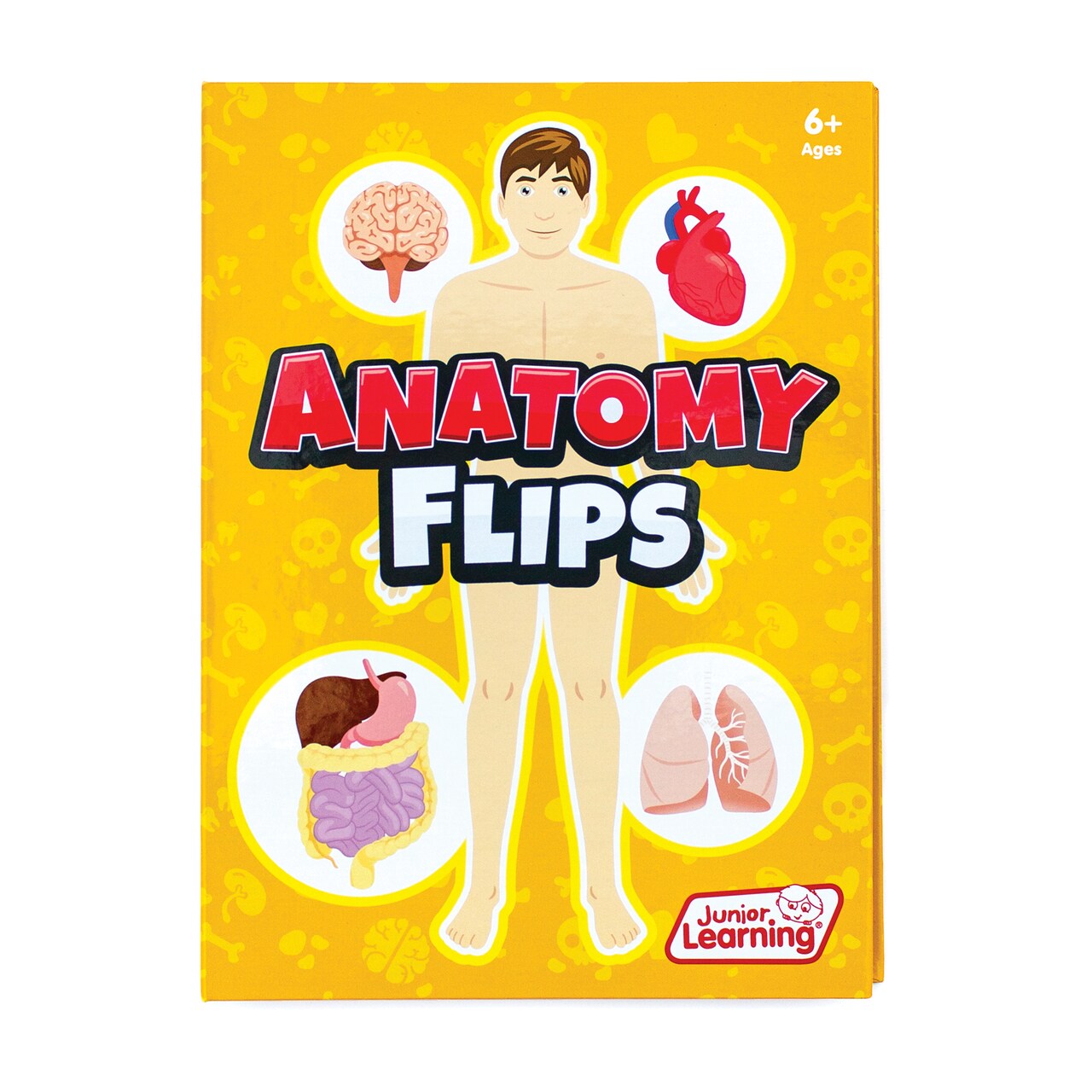 Junior Learning Anatomy Flips Educational Learning Set - Educational Flip Book